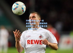 华体会体育app|一纸未签的表格，一座城市的足球梦碎，广西平果之死，是谁的悲哀