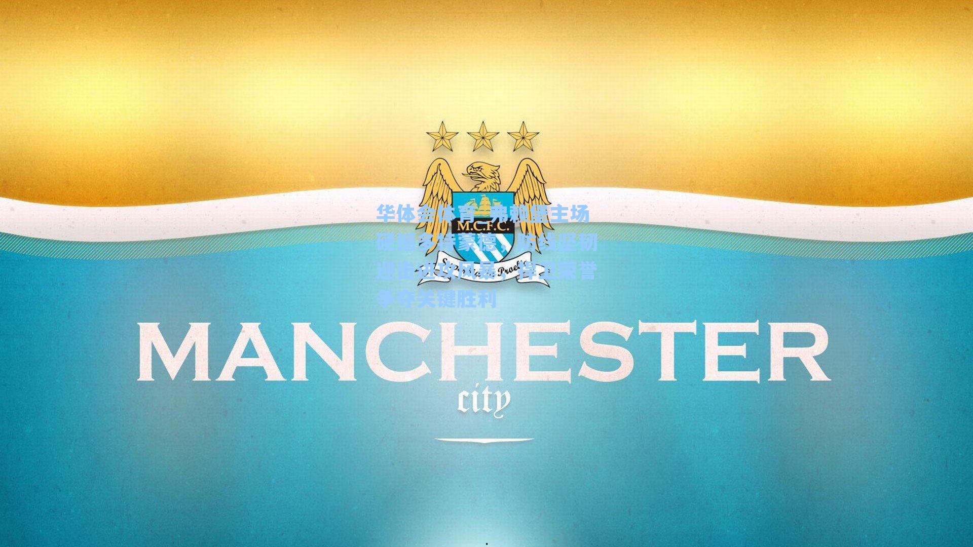 弗赖堡主场硬撼多特蒙德,防线坚韧迎击进攻风暴,捍卫荣誉争夺关键胜利